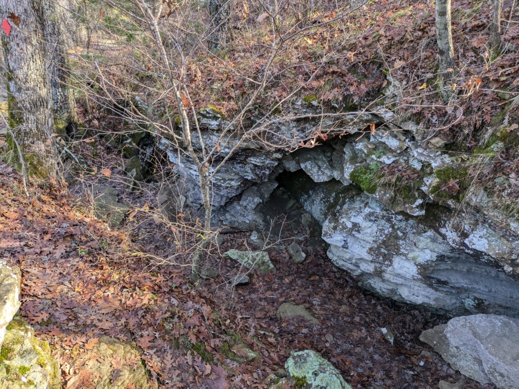 pxl_20241112_162557795.jpg