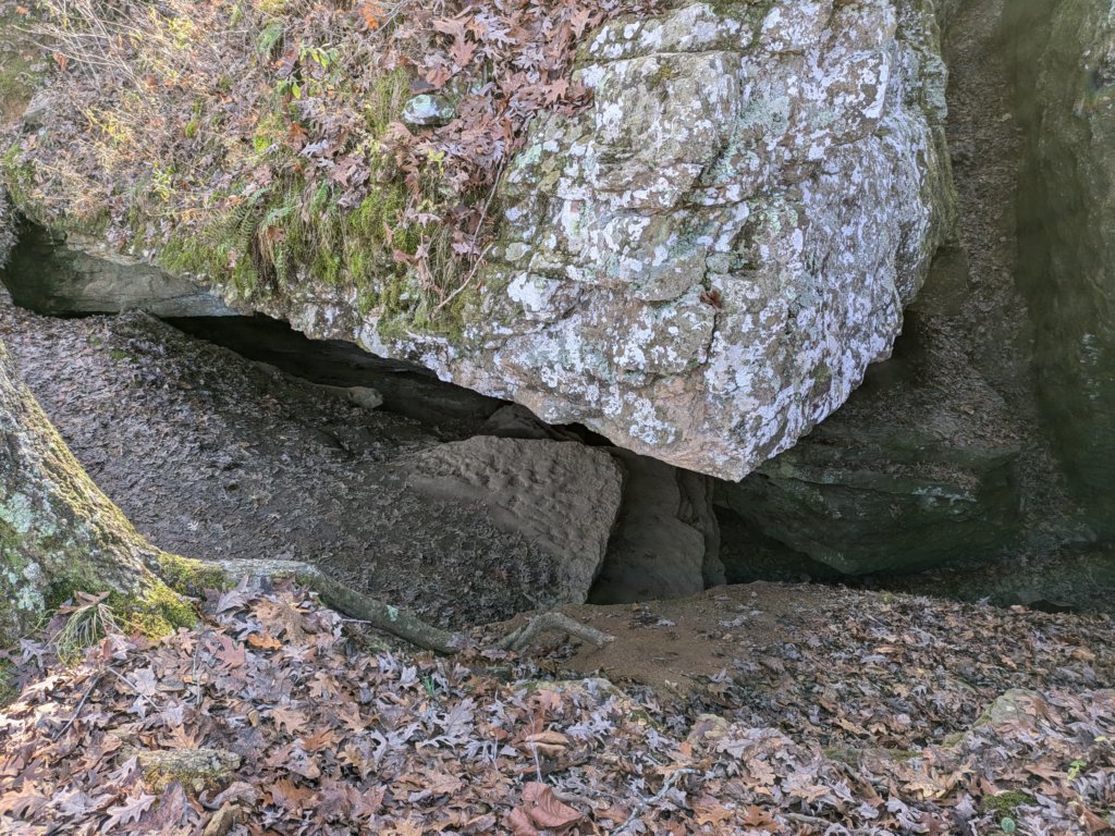 pxl_20241112_162741335.jpg