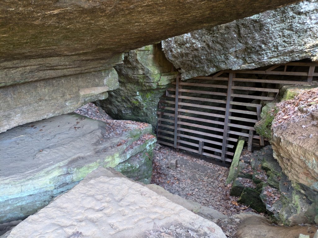 pxl_20241112_162804655.jpg