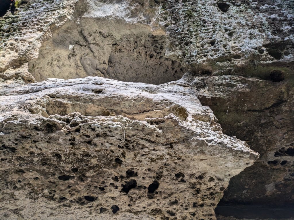 pxl_20241112_163014897.jpg
