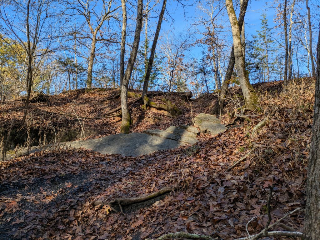 pxl_20241112_163133744.jpg