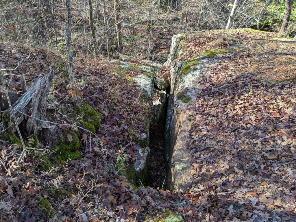 pxl_20241112_163321438.jpg