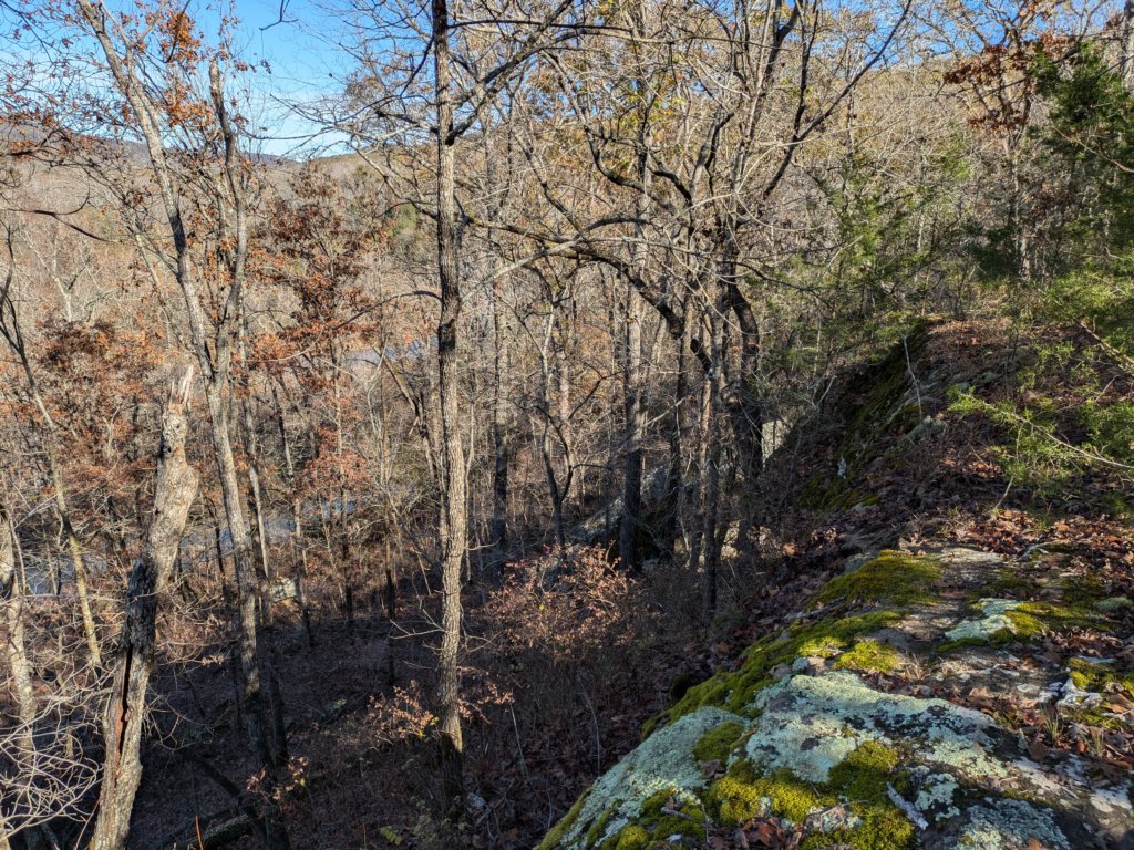 pxl_20241112_163357863.jpg