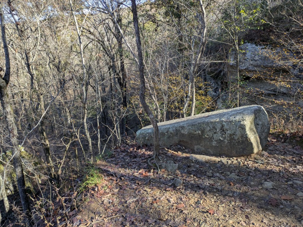 pxl_20241112_163500493.jpg