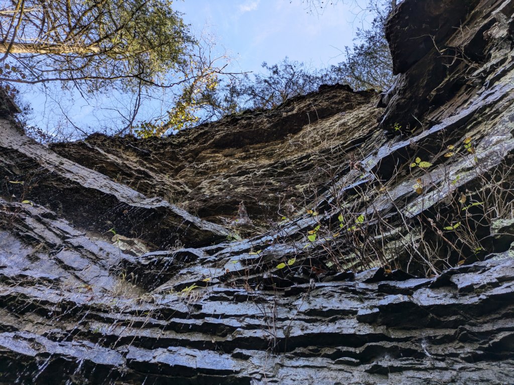 pxl_20241112_163921914.jpg