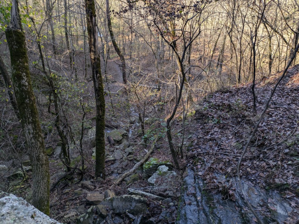 pxl_20241112_164020880.jpg