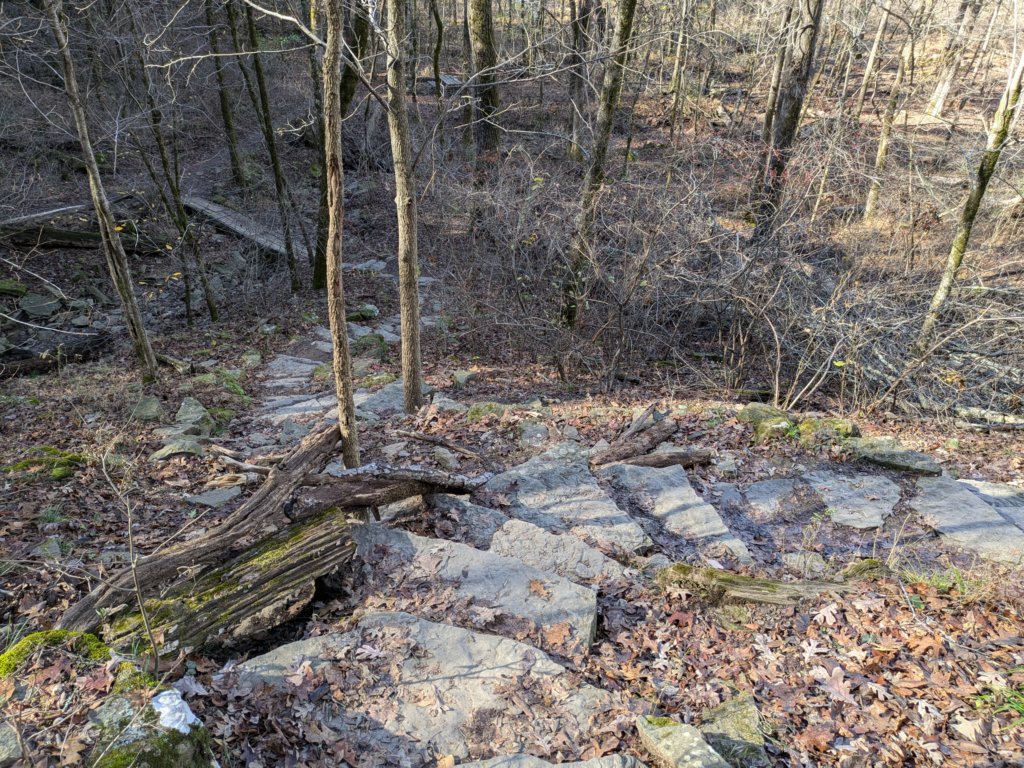 pxl_20241112_164205696.jpg