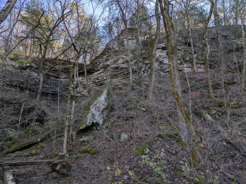pxl_20241112_164322610.jpg