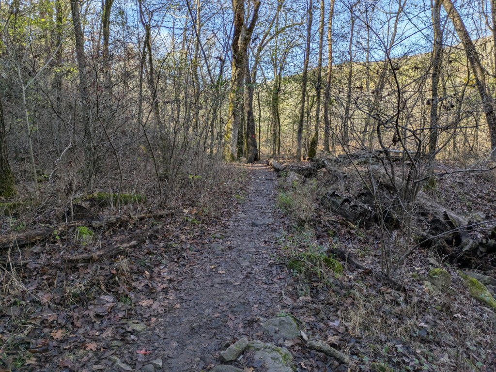 pxl_20241112_164329809.jpg