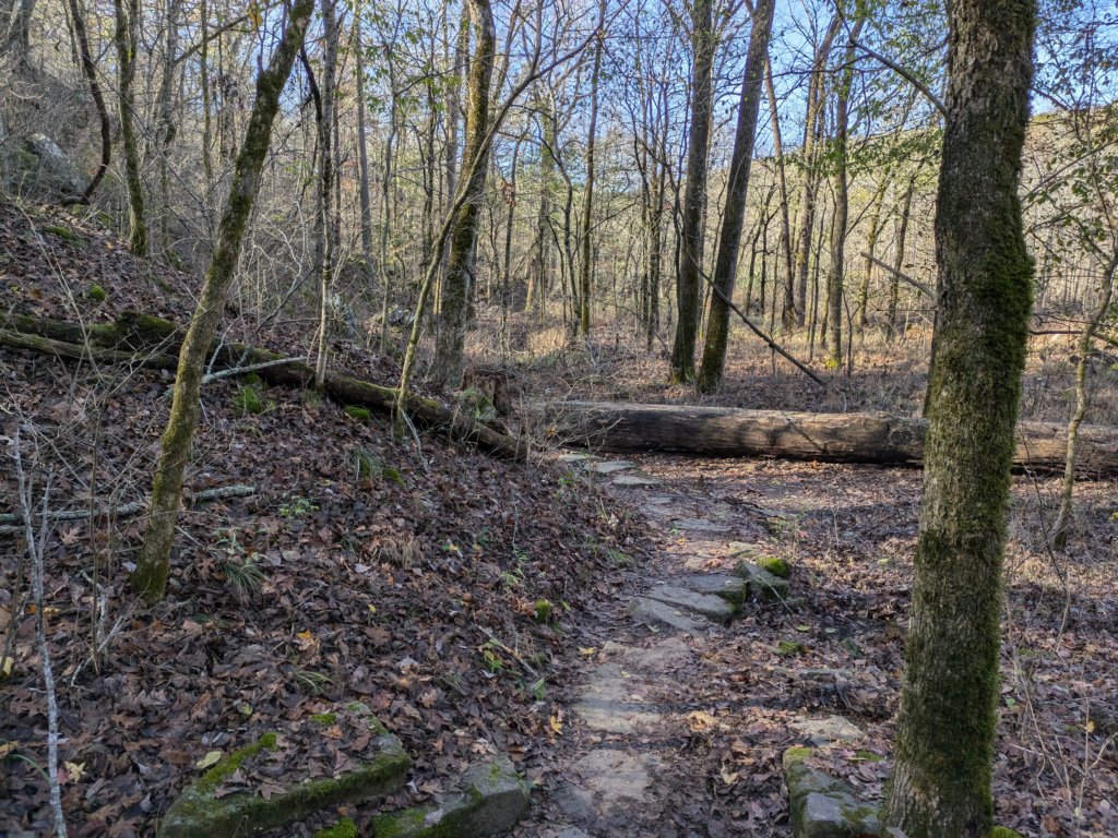 pxl_20241112_164404137.jpg