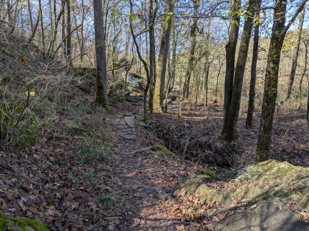 pxl_20241112_164521039.jpg