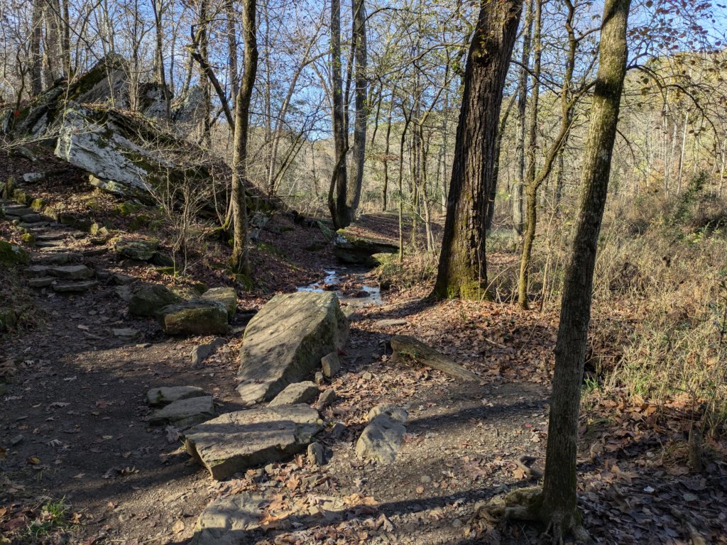 pxl_20241112_164548412.jpg