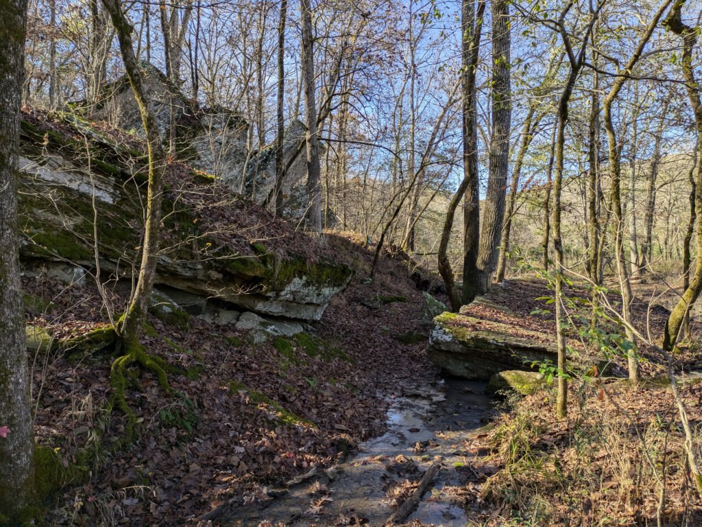 pxl_20241112_164613554.jpg