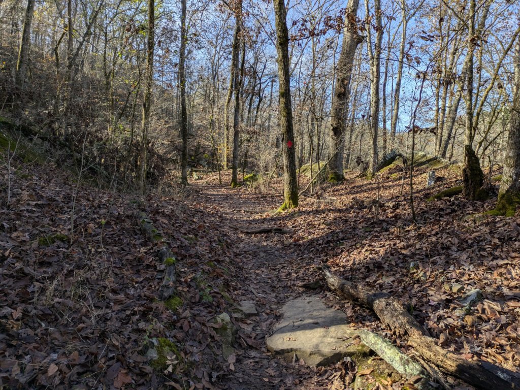 pxl_20241112_164751228.jpg