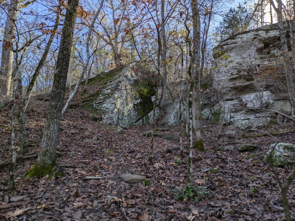 pxl_20241112_164826017.jpg