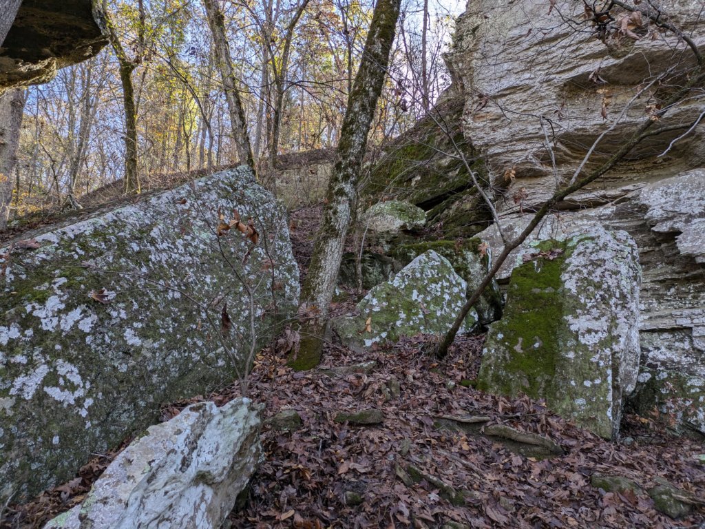 pxl_20241112_165007627.jpg