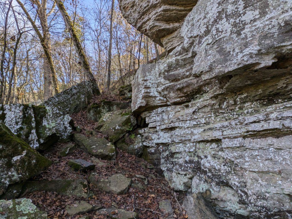 pxl_20241112_165029787.jpg