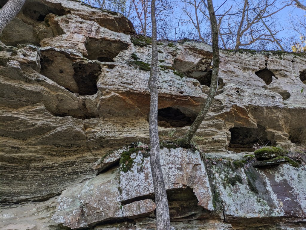 pxl_20241112_165043602.jpg
