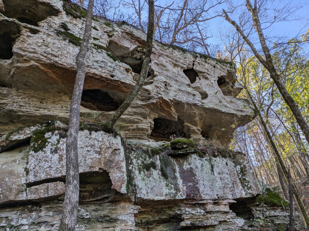pxl_20241112_165049302.jpg