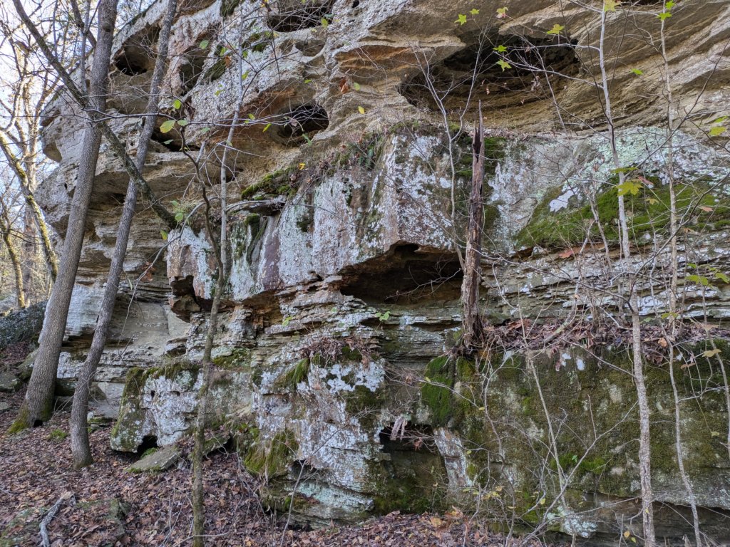 pxl_20241112_165117641.jpg