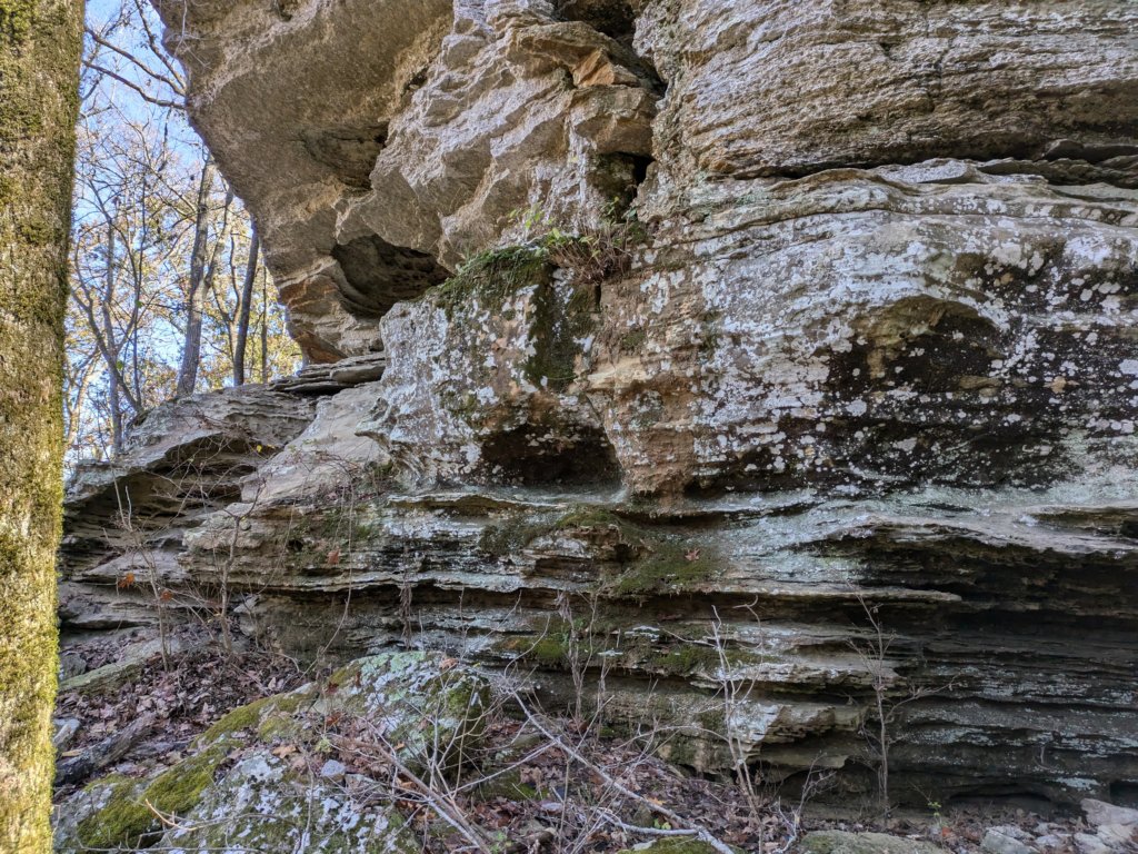 pxl_20241112_165202335.jpg