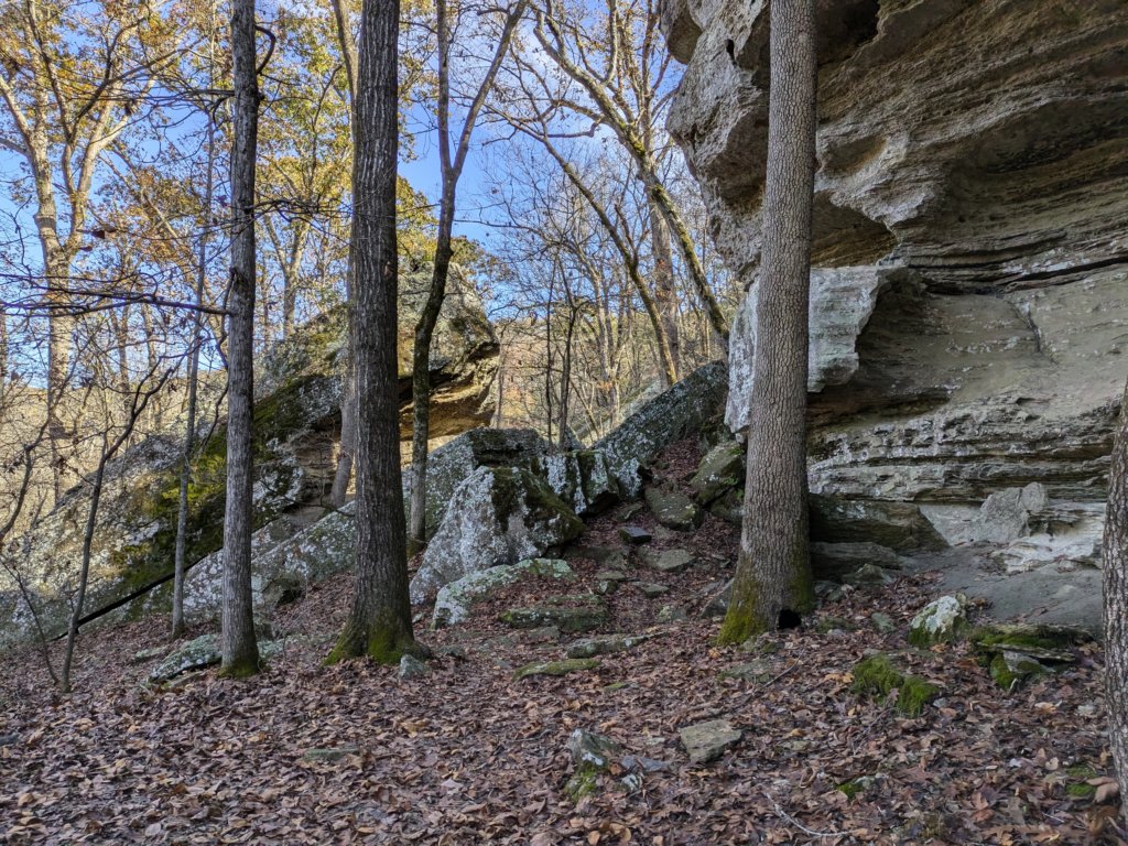 pxl_20241112_165245996.jpg