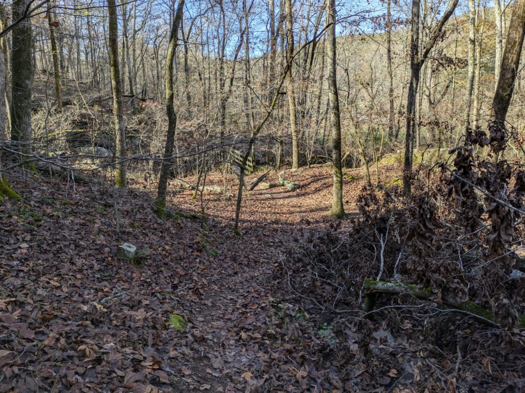 pxl_20241112_165401732.jpg