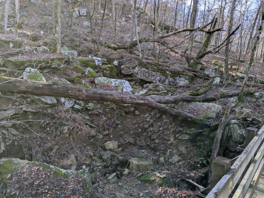 pxl_20241112_165431226.jpg