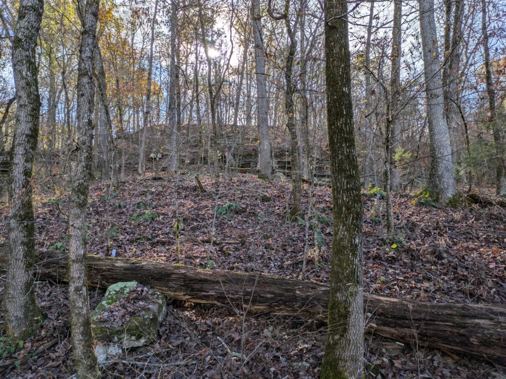 pxl_20241112_165522619.jpg