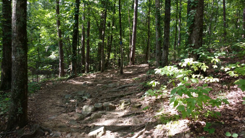 img_20170812_104249157.jpg