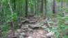 img_20170812_105006222_small.jpg