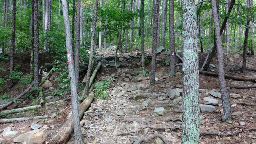 img_20170812_105226292.jpg