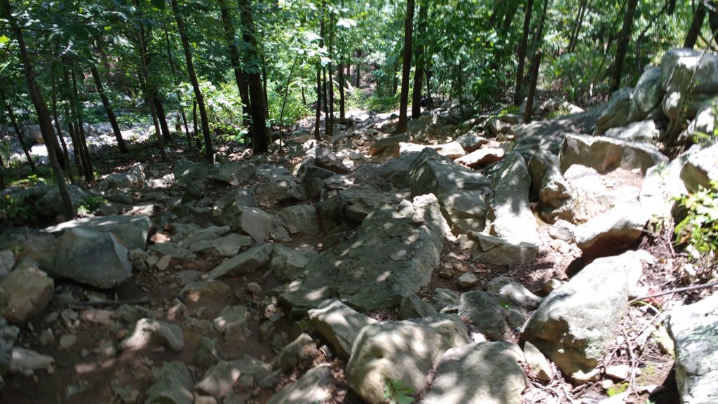 img_20170812_120604700.jpg