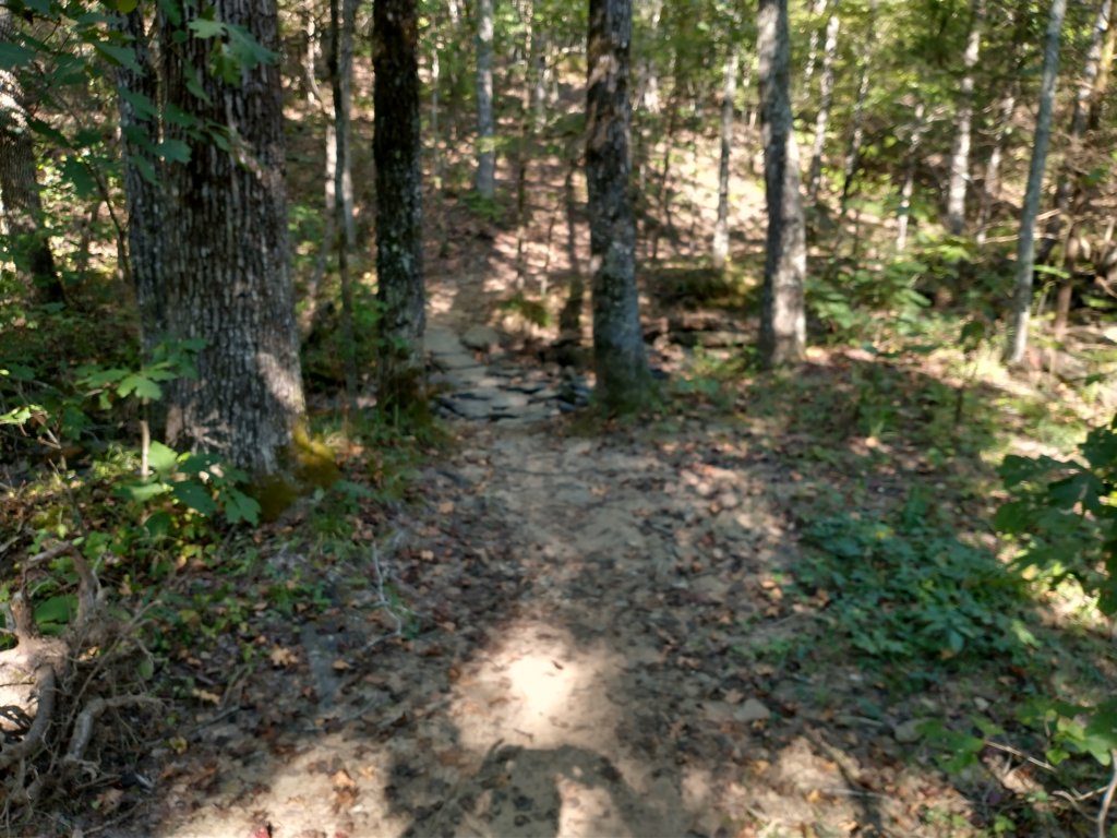 img_20200822_092508500_hdr.jpg