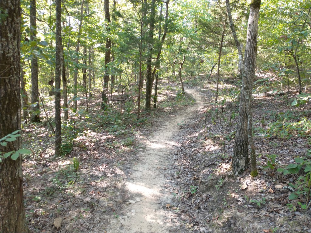 img_20200822_093022223.jpg