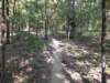 img_20200822_094326777_small.jpg