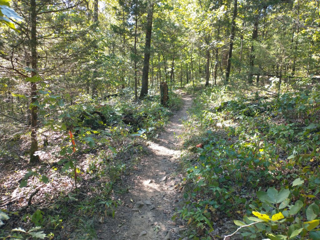 img_20200822_101725710.jpg