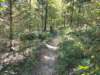 img_20200822_101725710_small.jpg