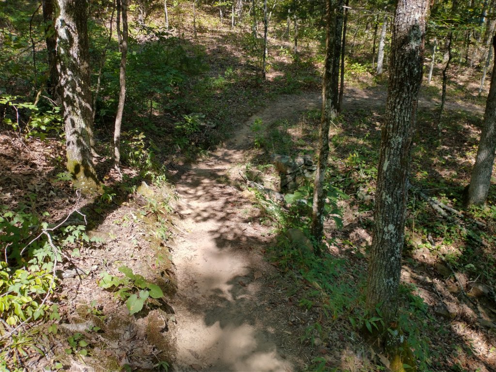 img_20200822_102509306_hdr.jpg