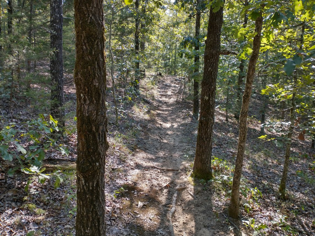img_20200822_103255817_hdr.jpg