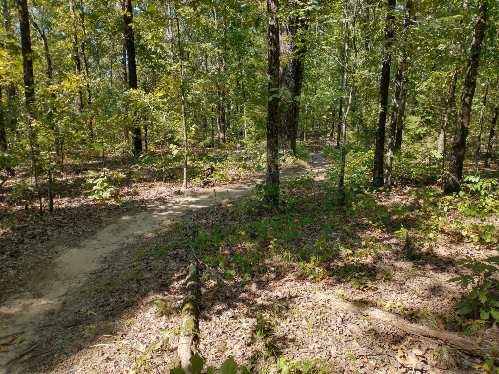 img_20200822_105139869_hdr.jpg