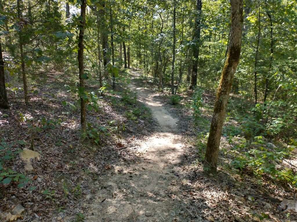 img_20200822_110003936_hdr.jpg