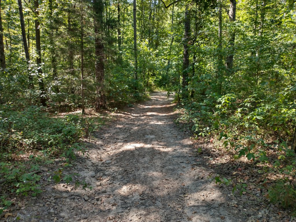 img_20200822_110206062_hdr.jpg