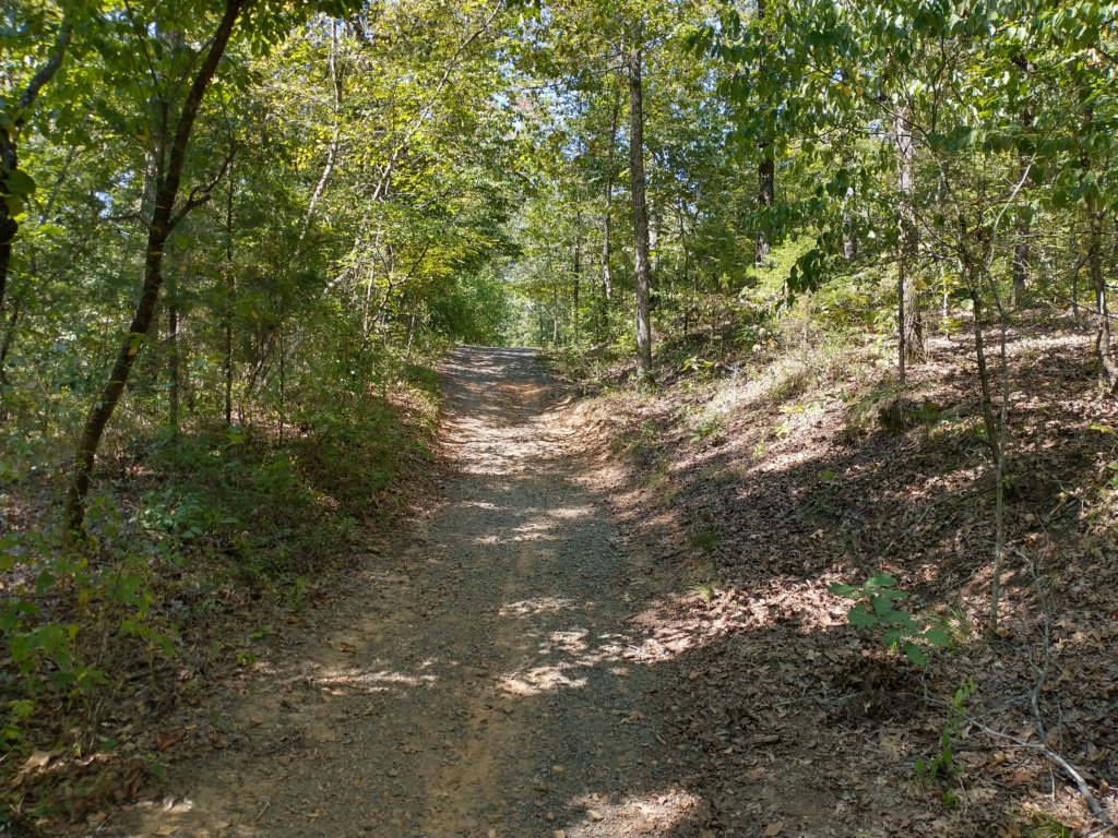 img_20200822_110806305_hdr.jpg