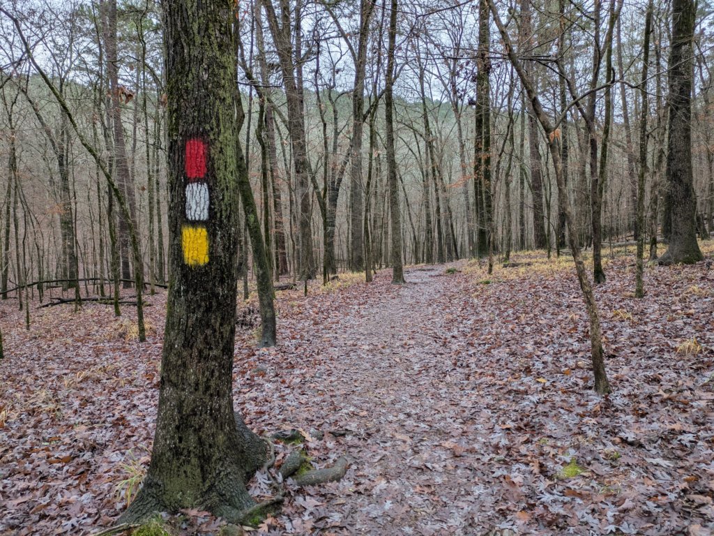 pxl_20241227_160159460.jpg