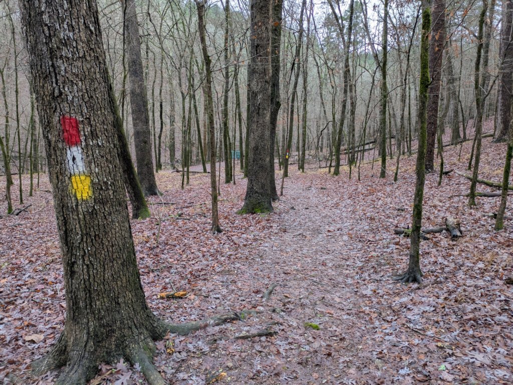 pxl_20241227_160245683.jpg
