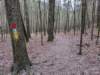 pxl_20241227_160245683_small.jpg