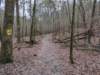 pxl_20241227_160337455_small.jpg