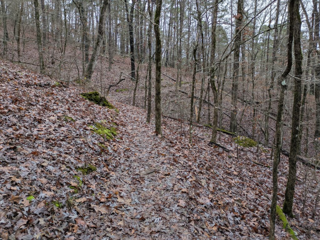 pxl_20241227_160607029.jpg