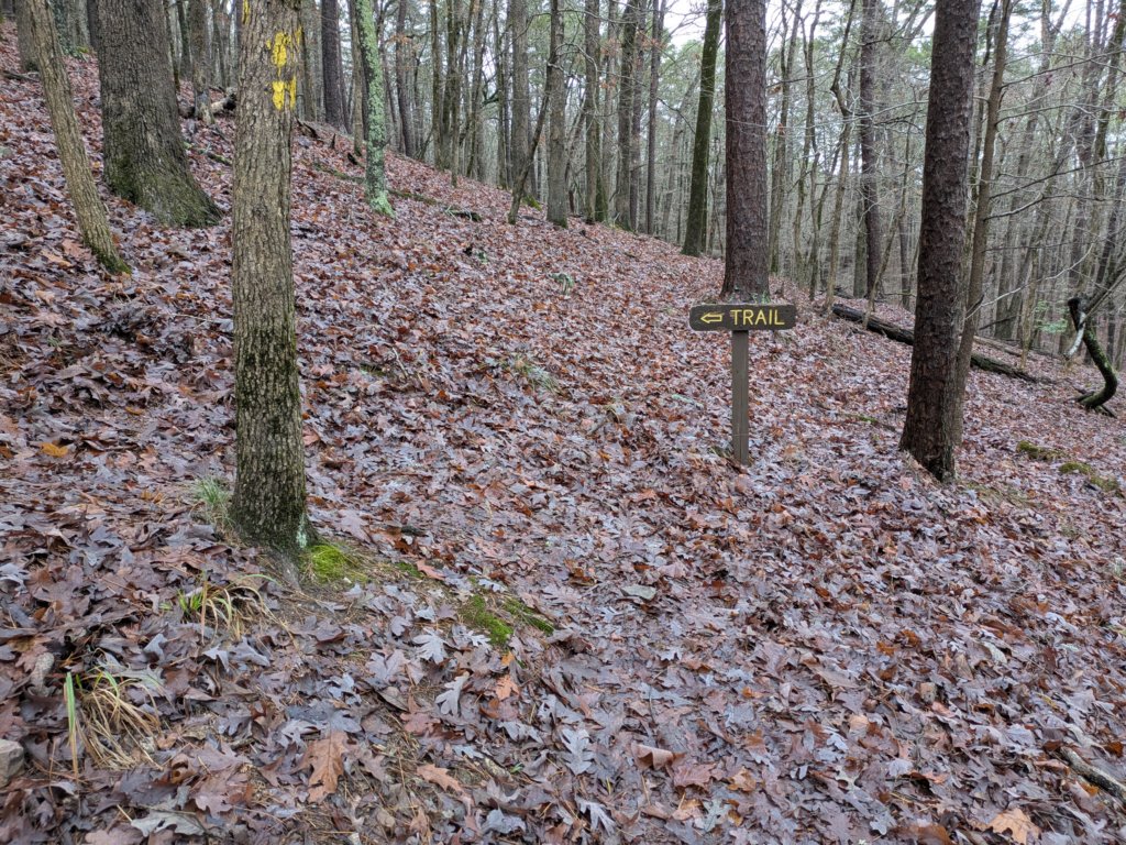 pxl_20241227_160802387.jpg